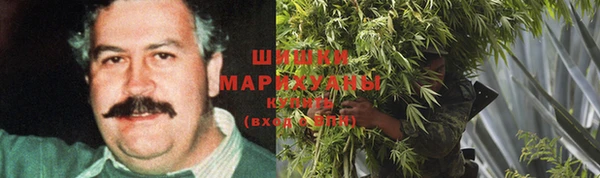 сатива Нягань