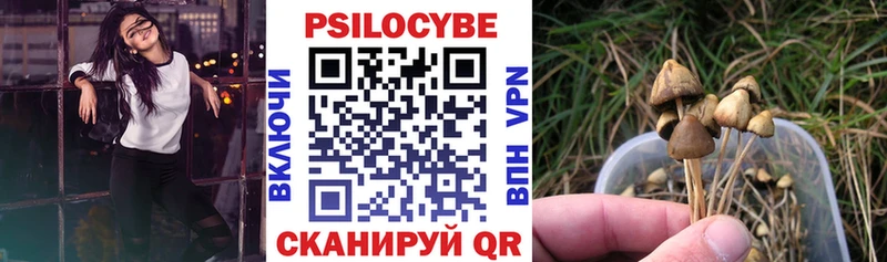 Псилоцибиновые грибы Psilocybine cubensis  Красногорск 